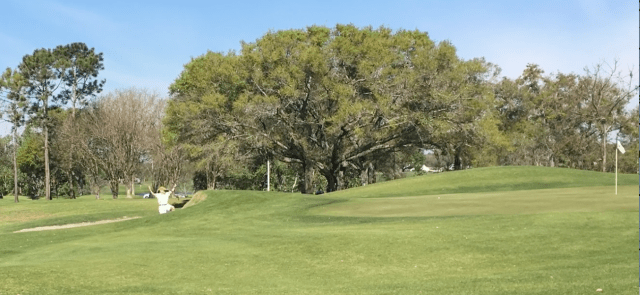 Screen Shot 2018-03-10 at 10.32.47 PM