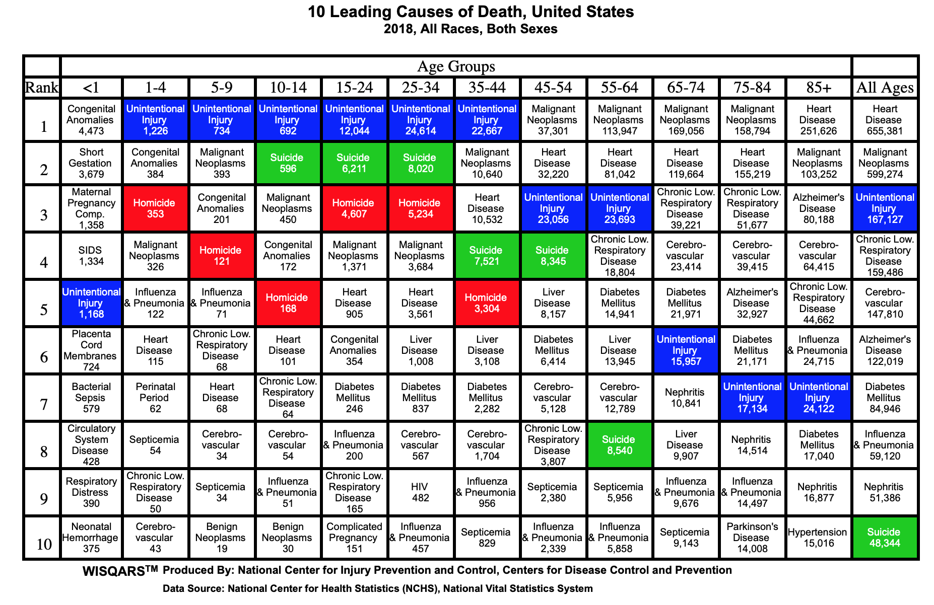 Screen Shot 2020-07-19 at 10.07.47 AM